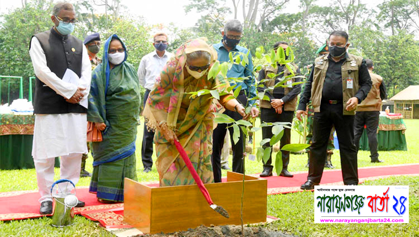 যেখানে যতটুকু জায়গা পান গাছ লাগান : দেশবাসীকে প্রধানমন্ত্রী
