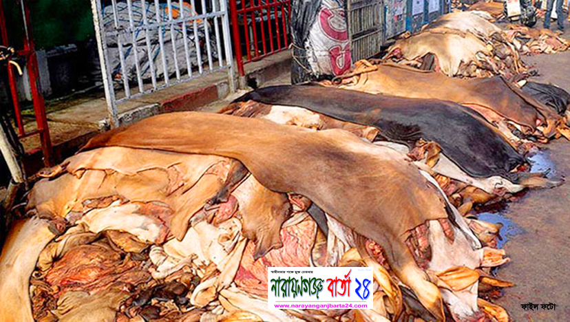 দাম বাড়িয়ে গরুর চামড়া ঢাকায় ৪০-৪৫ ও খাসি ১৫-১৭ টাকা নির্ধারণ
