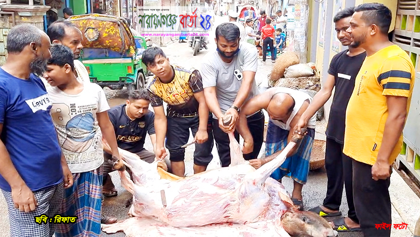 এবার ঈদে দেশে ৯০ লাখ ৯৩ হাজার পশু কোরবানি
