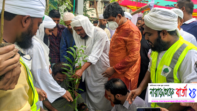 না.গ‌ঞ্জে দাওয়াতে ইসলামীর মাস‌ব্যাপী বৃক্ষরোপণ কর্মসূচি