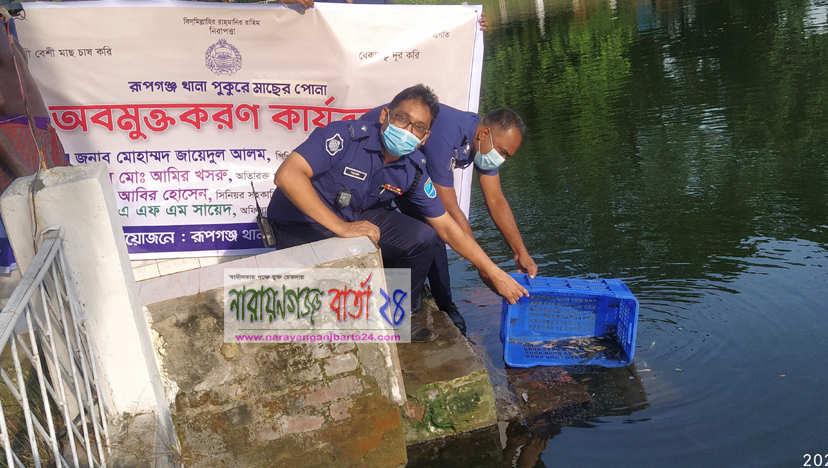রূপগঞ্জ থানা পুকুরে মাছের পোনা অবমুক্ত