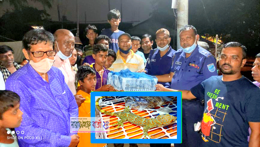 গলাচিপায় বিরল প্রজাতির তক্ষক উদ্ধার