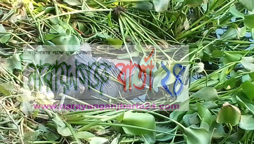 নারায়ণগঞ্জে নিখোঁজের পর অটো চালকের লাশ উদ্ধার