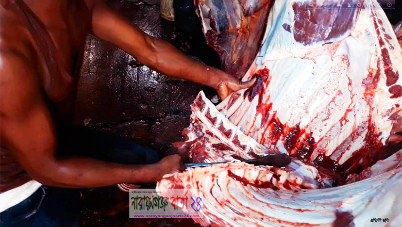 বাজারে অবাধে রোগাক্রান্ত গবাদি পশু জবাই, হুমকির মুখে জনস্বাস্থ্য