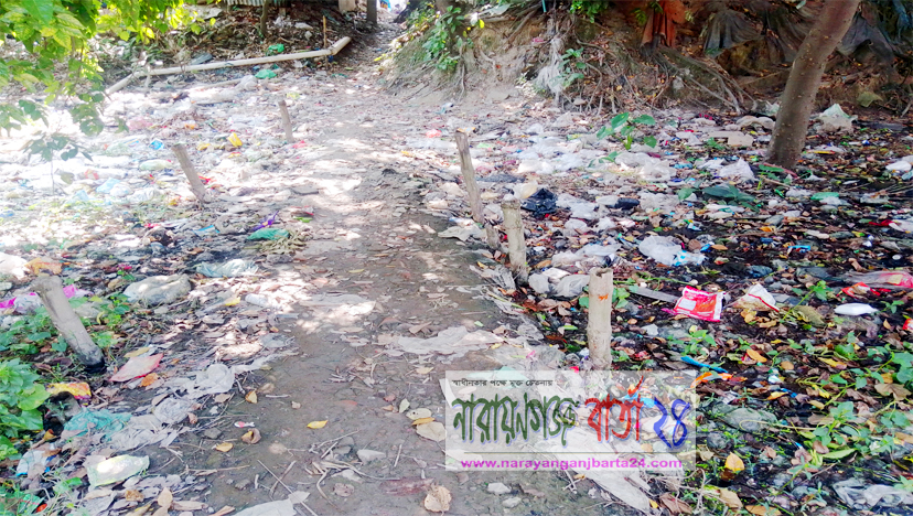 ময়লা আবর্জনায় ভাগারে পরিণত উত্তর-নরসিংপুরের ছোট পাড়া